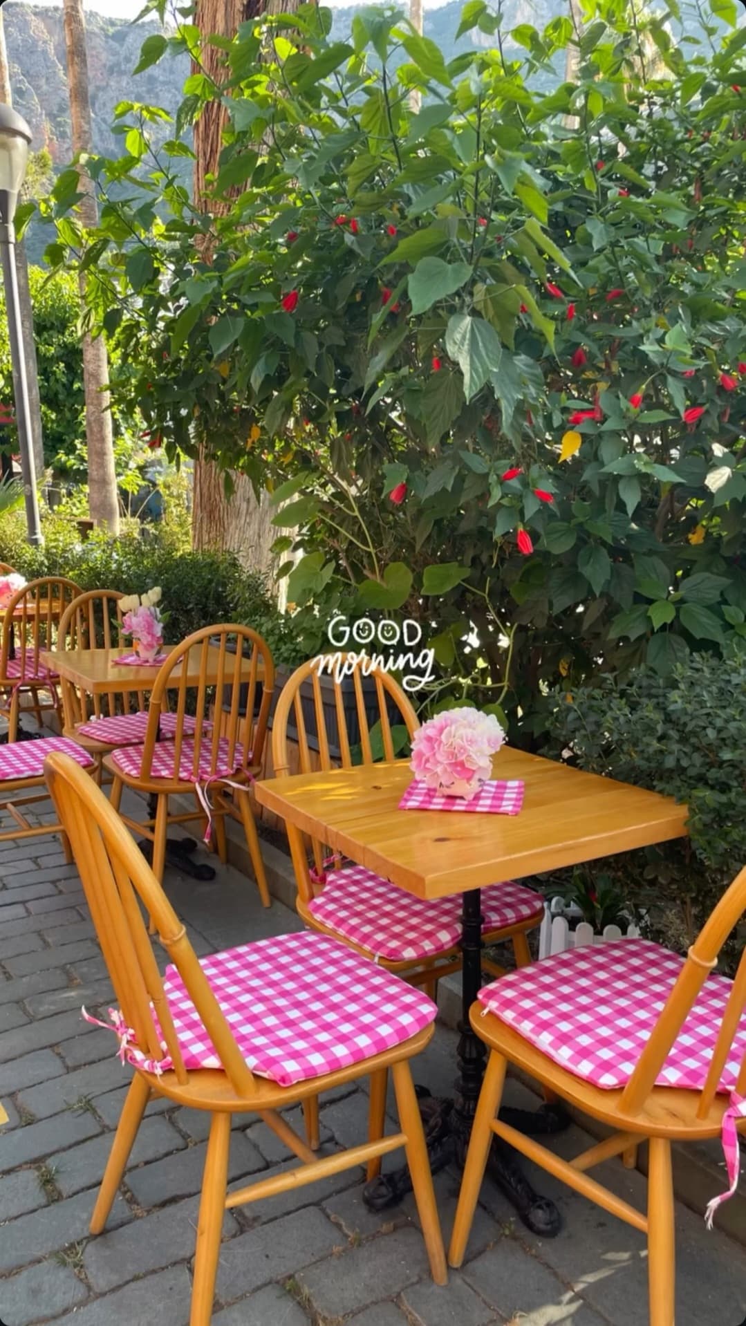 Dry Cafe